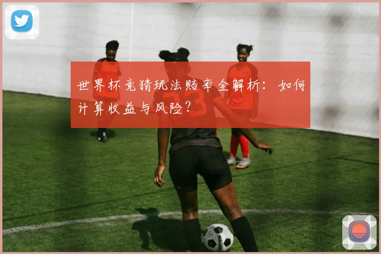 世界杯竞猜玩法赔率全解析：如何计算收益与风险？