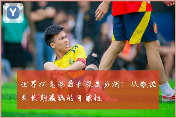 世界杯竞彩盈利深度分析：从数据看长期赢钱的可能性
