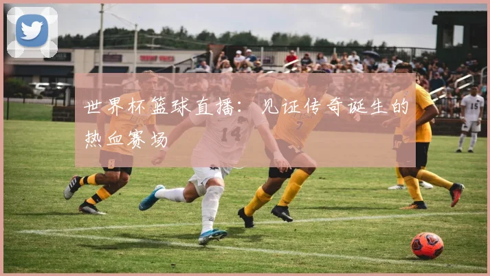 世界杯篮球直播：见证传奇诞生的热血赛场