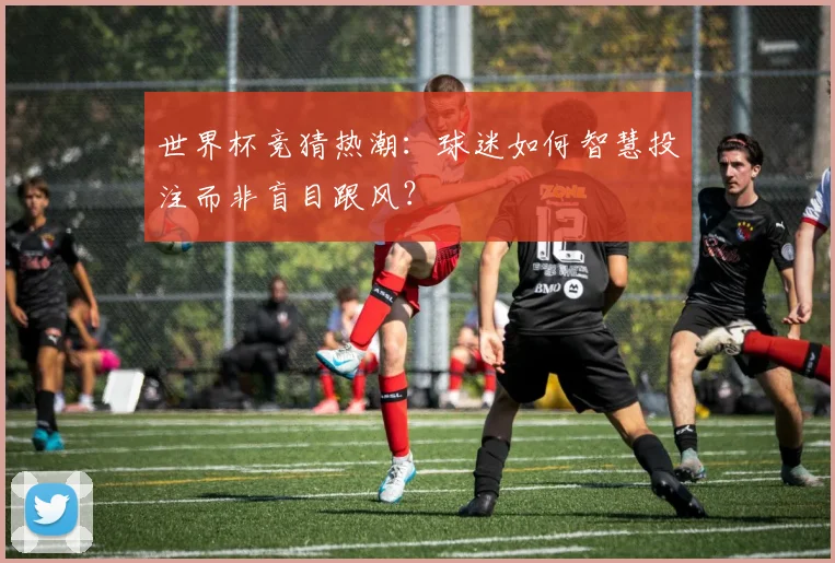 世界杯竞猜热潮：球迷如何智慧投注而非盲目跟风？