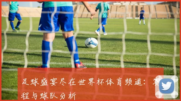 足球盛宴尽在世界杯体育频道：赛程与球队分析