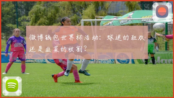 微博钱包世界杯活动：球迷的狂欢还是韭菜的收割？