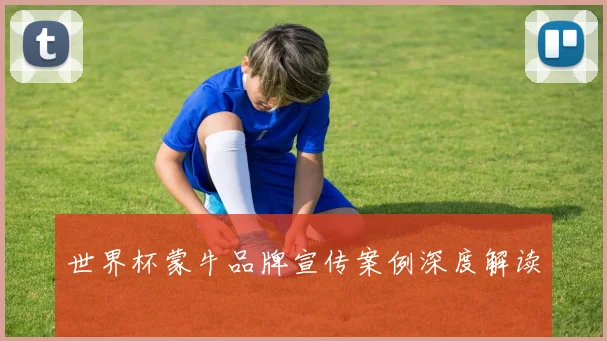 世界杯蒙牛品牌宣传案例深度解读
