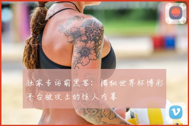 独家专访前黑客:揭秘世界杯博彩平台被攻击的惊人内幕