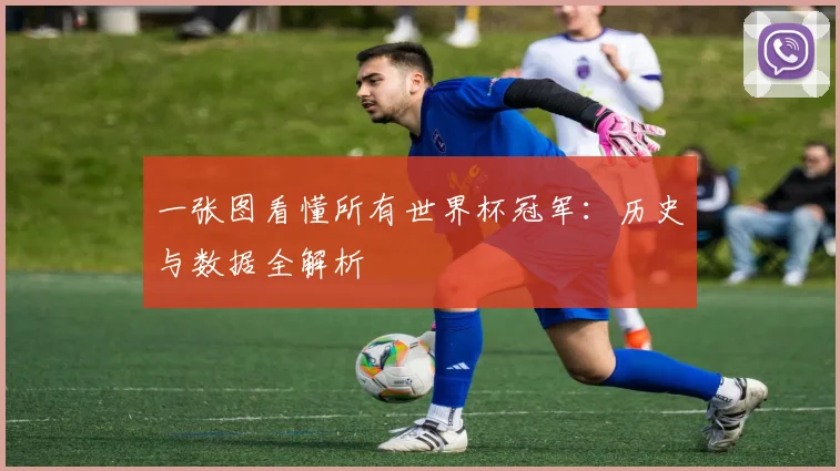 一张图看懂所有世界杯冠军：历史与数据全解析