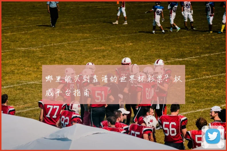 哪里能买到靠谱的世界杯彩票?权威平台指南