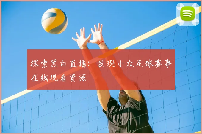 探索黑白直播:发现小众足球赛事在线观看资源