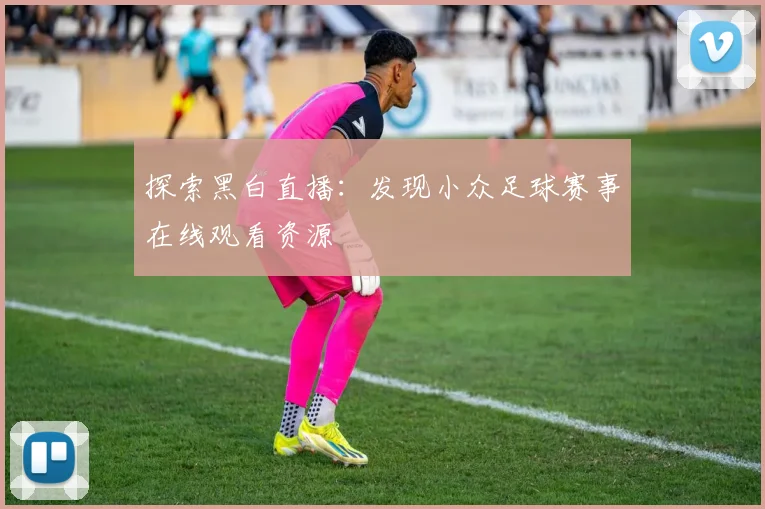探索黑白直播:发现小众足球赛事在线观看资源